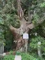 白羽神社(静岡県)
