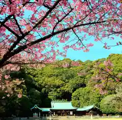 靜岡縣護國神社の景色