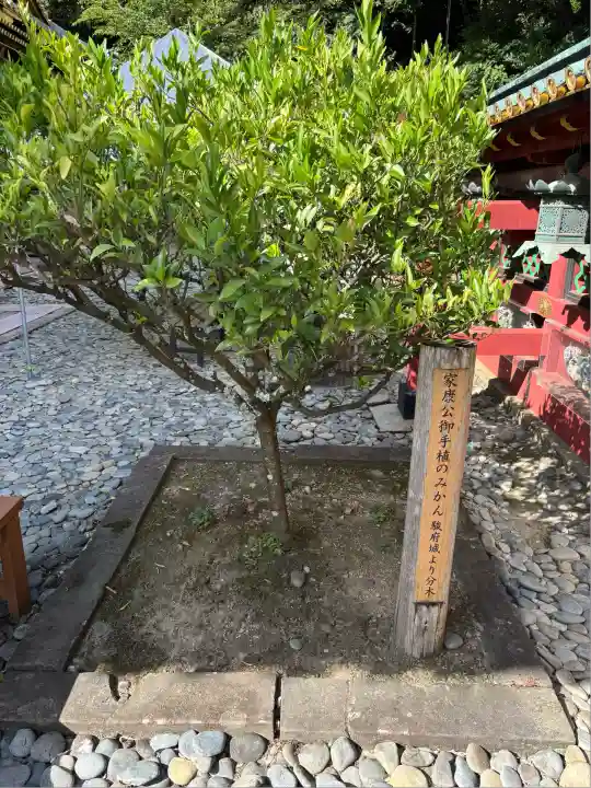 久能山東照宮(静岡県)