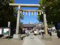 浅草神社の鳥居
