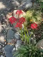 竜門寺(群馬県)