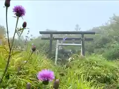 飯縄神社 奥社の鳥居