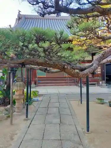不断寺(大阪府)