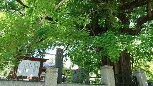 本國寺のその他建物