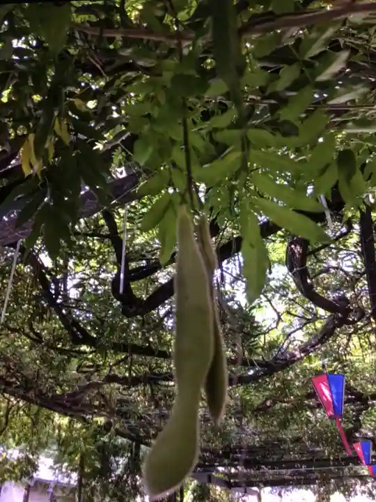國領神社(東京都)