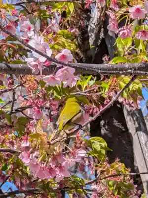 鳩森八幡神社(東京都)