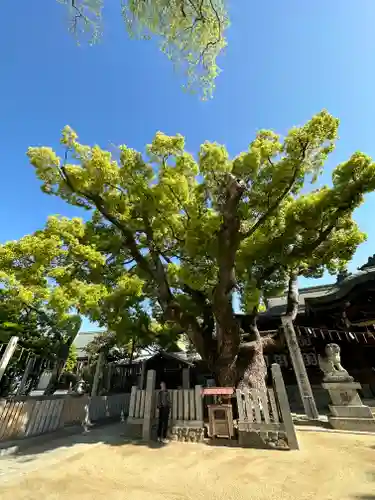 石切劔箭神社の自然