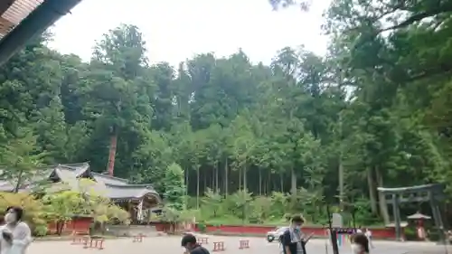 日光二荒山神社のその他建物