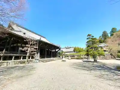 本誓寺(東本誓寺)(滋賀県)