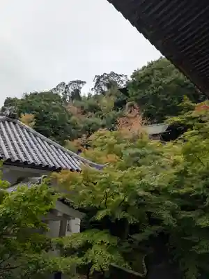 禅林寺(永観堂)(京都府)