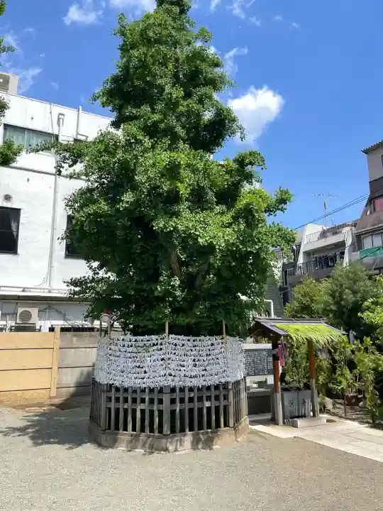 天祖神社(東京都)