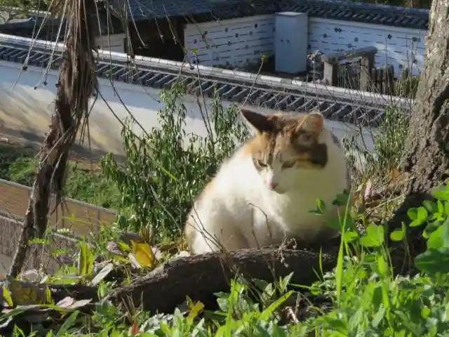 熊野若王子神社(京都府)
