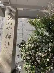 四宮神社の自然