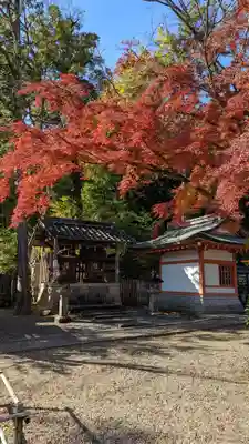 長岡天満宮(京都府)