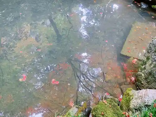 榮攝院（栄摂院）(京都府)