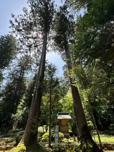 粟鹿神社(兵庫県)
