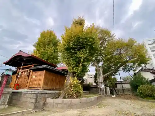宇賀神社(京都府)