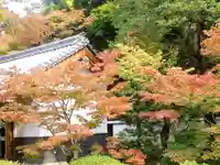 隨心院(随心院)(京都府)