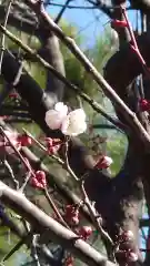 相馬神社の自然