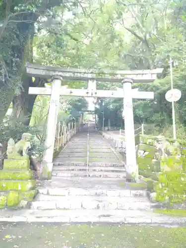 石立八幡宮の鳥居