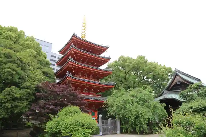 東長寺の塔