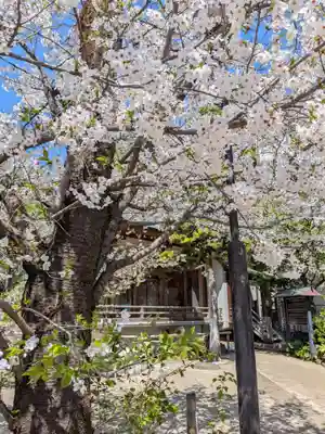 鳩森八幡神社(東京都)