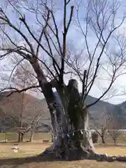 新宮八幡神社(兵庫県)