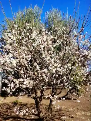 福蔵院(東京都)