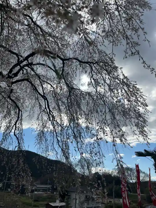 林陽寺の{uncategorized: "未分類", other: "その他", undefined: "問題あり", building: "その他建物", grave: "お墓", sacred_gate: "鳥居", guardian: "狛犬", statue: "像", buddha: "仏像", history: "歴史", nature: "自然", garden: "庭園", animal: "動物", pagoda: "塔", temizu: "手水舎", mountain_gate: "山門・神門", sanctuary: "本殿・本堂", subordinate: "末社・摂社", art: "芸術", scenery: "景色", jizo: "地蔵", ema: "絵馬", goshuin: "御朱印", omikuji: "おみくじ", items: "授与品その他", amulet: "お守り", goshuincho: "御朱印帳", eats: "食事", festival: "お祭り", votive_dance: "神楽", shichigosan: "七五三参", wedding: "結婚式", experience: "体験その他", initially: "初詣", around: "周辺", anti_infection: "感染症対策"}