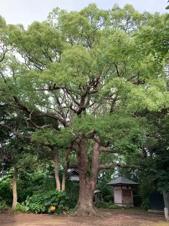 海寳寺(千葉県)