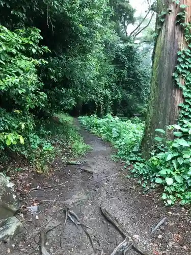 木曽三社神社の自然