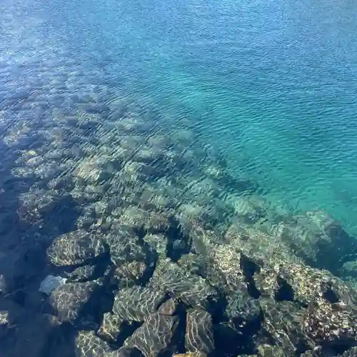 田島神社(佐賀県)
