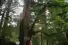 日光二荒山神社の自然