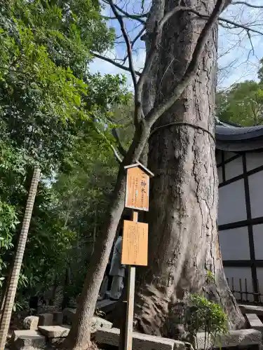 川越氷川神社の{uncategorized: "未分類", other: "その他", undefined: "問題あり", building: "その他建物", grave: "お墓", sacred_gate: "鳥居", guardian: "狛犬", statue: "像", buddha: "仏像", history: "歴史", nature: "自然", garden: "庭園", animal: "動物", pagoda: "塔", temizu: "手水舎", mountain_gate: "山門・神門", sanctuary: "本殿・本堂", subordinate: "末社・摂社", art: "芸術", scenery: "景色", jizo: "地蔵", ema: "絵馬", goshuin: "御朱印", omikuji: "おみくじ", items: "授与品その他", amulet: "お守り", goshuincho: "御朱印帳", eats: "食事", festival: "お祭り", votive_dance: "神楽", shichigosan: "七五三参", wedding: "結婚式", experience: "体験その他", initially: "初詣", around: "周辺", anti_infection: "感染症対策"}