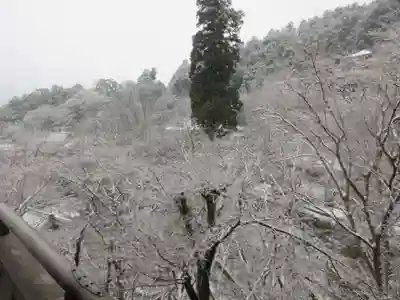 長谷寺(奈良県)