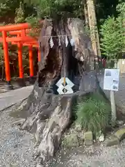 常磐神社(茨城県)