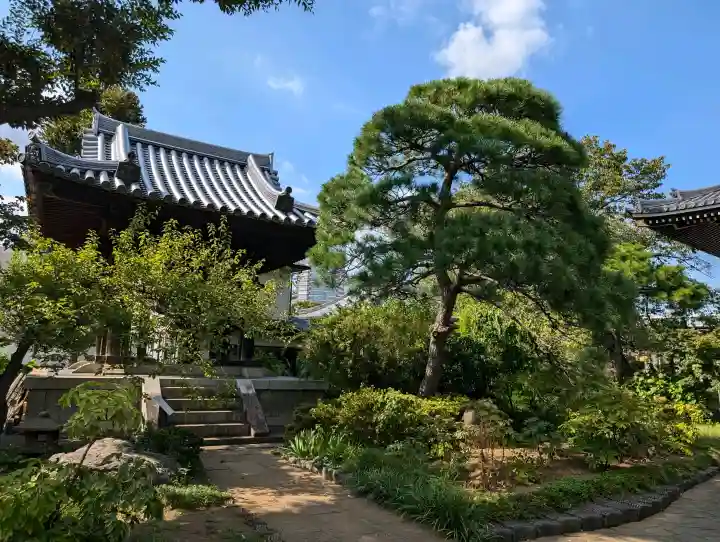 圓照寺の{uncategorized: "未分類", other: "その他", undefined: "問題あり", building: "その他建物", grave: "お墓", sacred_gate: "鳥居", guardian: "狛犬", statue: "像", buddha: "仏像", history: "歴史", nature: "自然", garden: "庭園", animal: "動物", pagoda: "塔", temizu: "手水舎", mountain_gate: "山門・神門", sanctuary: "本殿・本堂", subordinate: "末社・摂社", art: "芸術", scenery: "景色", jizo: "地蔵", ema: "絵馬", goshuin: "御朱印", omikuji: "おみくじ", items: "授与品その他", amulet: "お守り", goshuincho: "御朱印帳", eats: "食事", festival: "お祭り", votive_dance: "神楽", shichigosan: "七五三参", wedding: "結婚式", experience: "体験その他", initially: "初詣", around: "周辺", anti_infection: "感染症対策"}