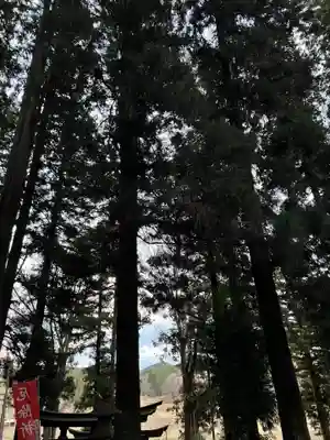 大宮温泉神社(栃木県)