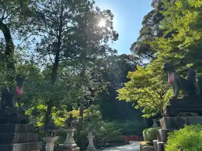 伏見稲荷大社(京都府)