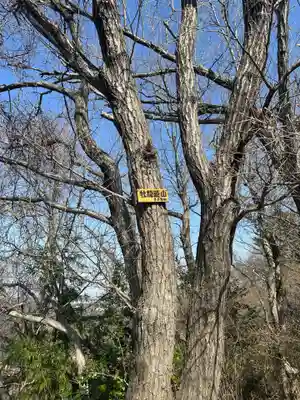 航空神社(神奈川県)