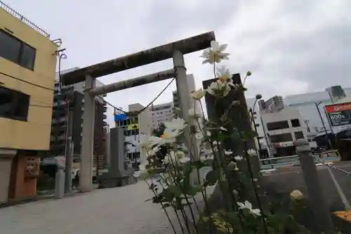 安積國造神社の鳥居