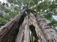 森本神社(兵庫県)