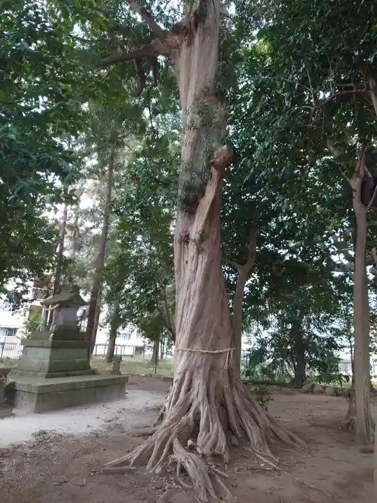日秀将門神社の自然