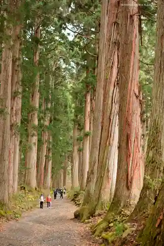 戸隠神社奥社の周辺