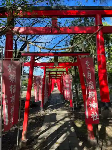 於菊稲荷神社の鳥居