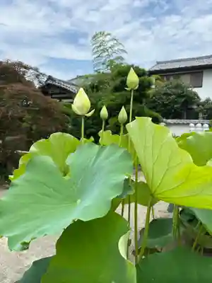 本瑞寺(神奈川県)