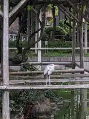 亀戸天神社(東京都)