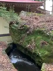 小田倉神社の自然