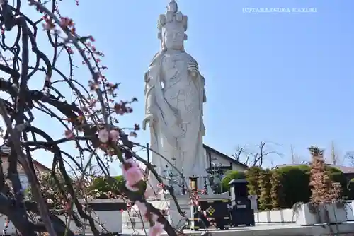 三寳寺(東京都)