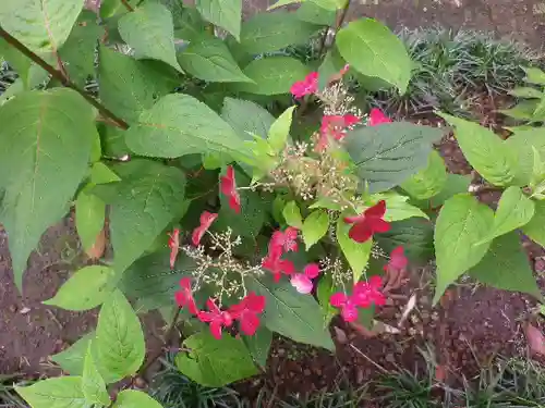 御霊神社の自然